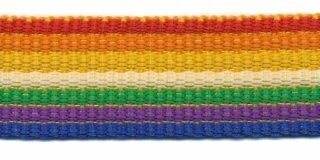Tassenband 25 mm streep regenboog rood/oranje/geel/groen/paars/blauw EXTRA STEVIG (ca. 5 m)