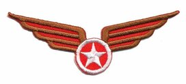 Opstrijkbare applicatie leger/army wing bruin/wit/rood (5 stuks) Opstrijkbare applicatie leger/army wing bruin/wit/rood (5 stuks)
