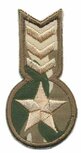Opstrijkbare applicatie leger/army ster en strepen (5 stuks) Opstrijkbare applicatie leger/army ster en strepen (5 stuks)