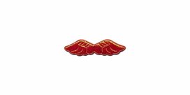 Applicatie glim vleugel rood klein 45 x 15 mm (ca. 25 stuks) Applicatie glim vleugel rood klein 45 x 15 mm (ca. 25 stuks)