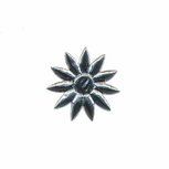 Applicatie glim bloem puntig zilver klein 20 mm (ca. 25 stuks) Applicatie glim bloem puntig zilver klein 20 mm (ca. 25 stuks)